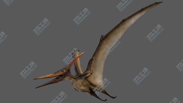 images/goods_img/20210312/3D Pteranodon Longiceps Rigged/3.jpg